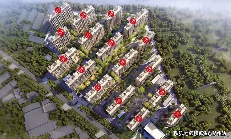 惠州博恩最新招聘信息概览