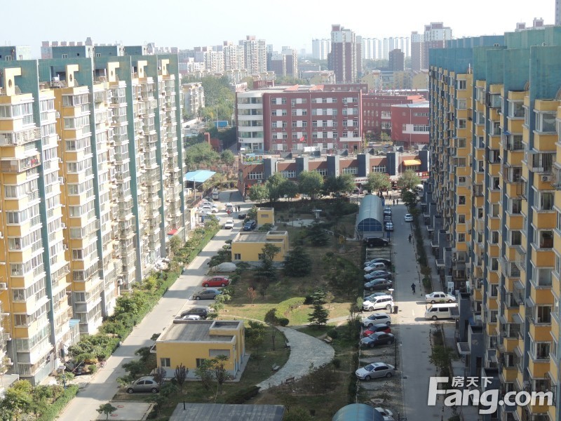 建工双合家园最新房价概览